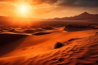 Sahara & Oasis – Le Désert des Rêves