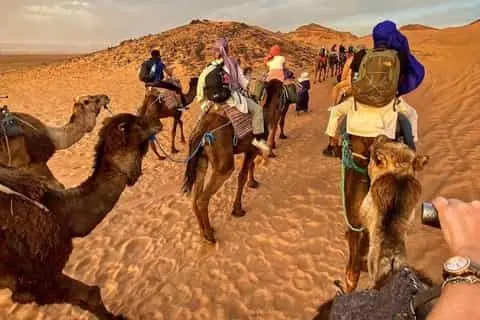 Tours crénelées et panoramas désertiques