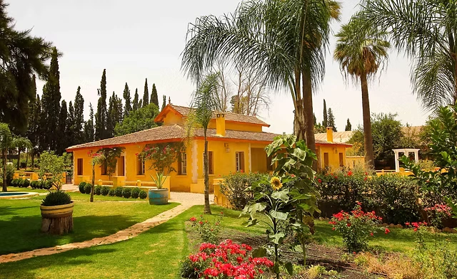 Villas patriciennes à Meknès & Volubilis