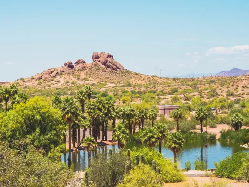 Désert & Oasis Secrètes