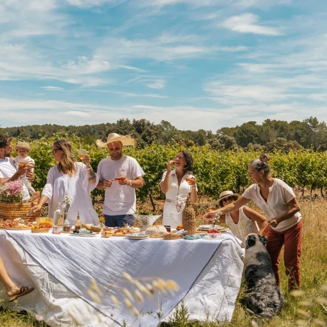 Expériences œnologiques exclusives